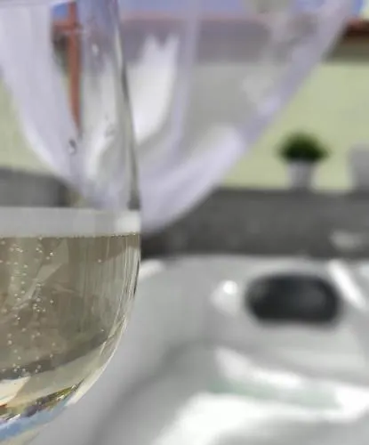 Regnos Altos Boutique 情趣酒店 *