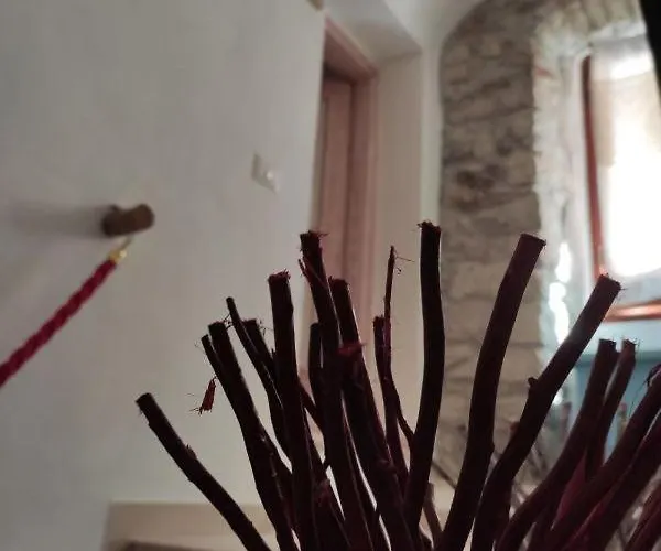 Regnos Altos Boutique * 博萨